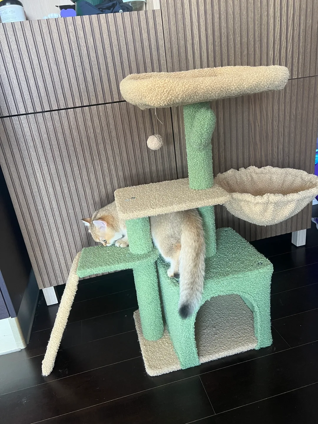 Cat Tree Cactus Style - Green & Beige image indicator(2)