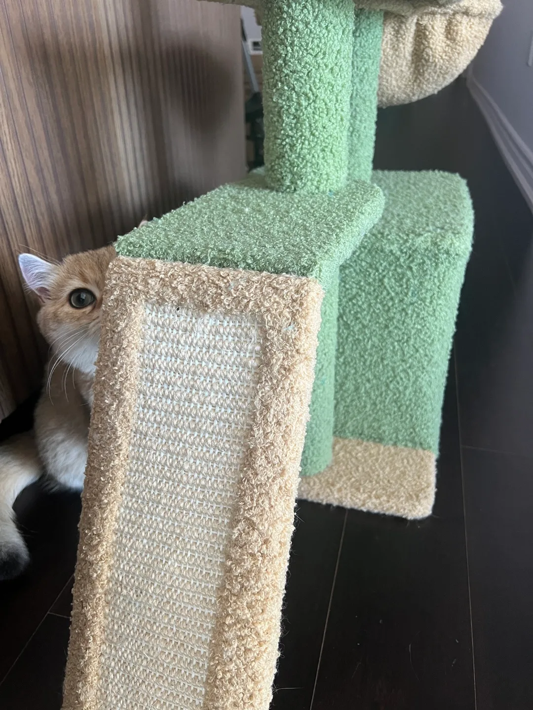 Cat Tree Cactus Style - Green & Beige image indicator(8)