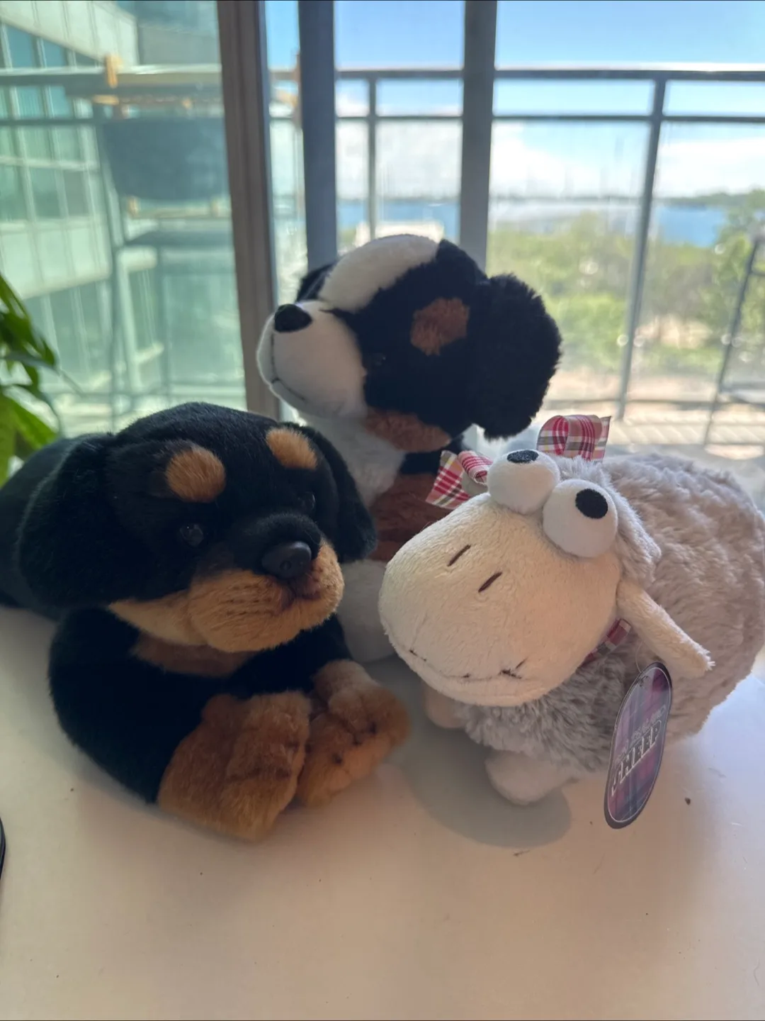 Gund Stuffed Animals - Dog, Sheep, Dog 🇨🇦 thumbnail