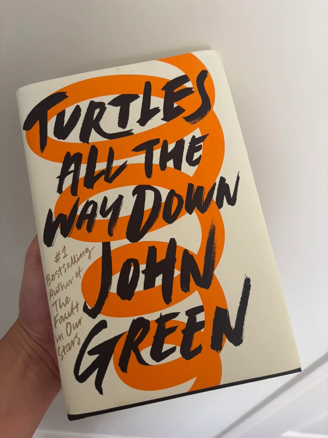 Turtles All the Way Down by John Green thumbnail