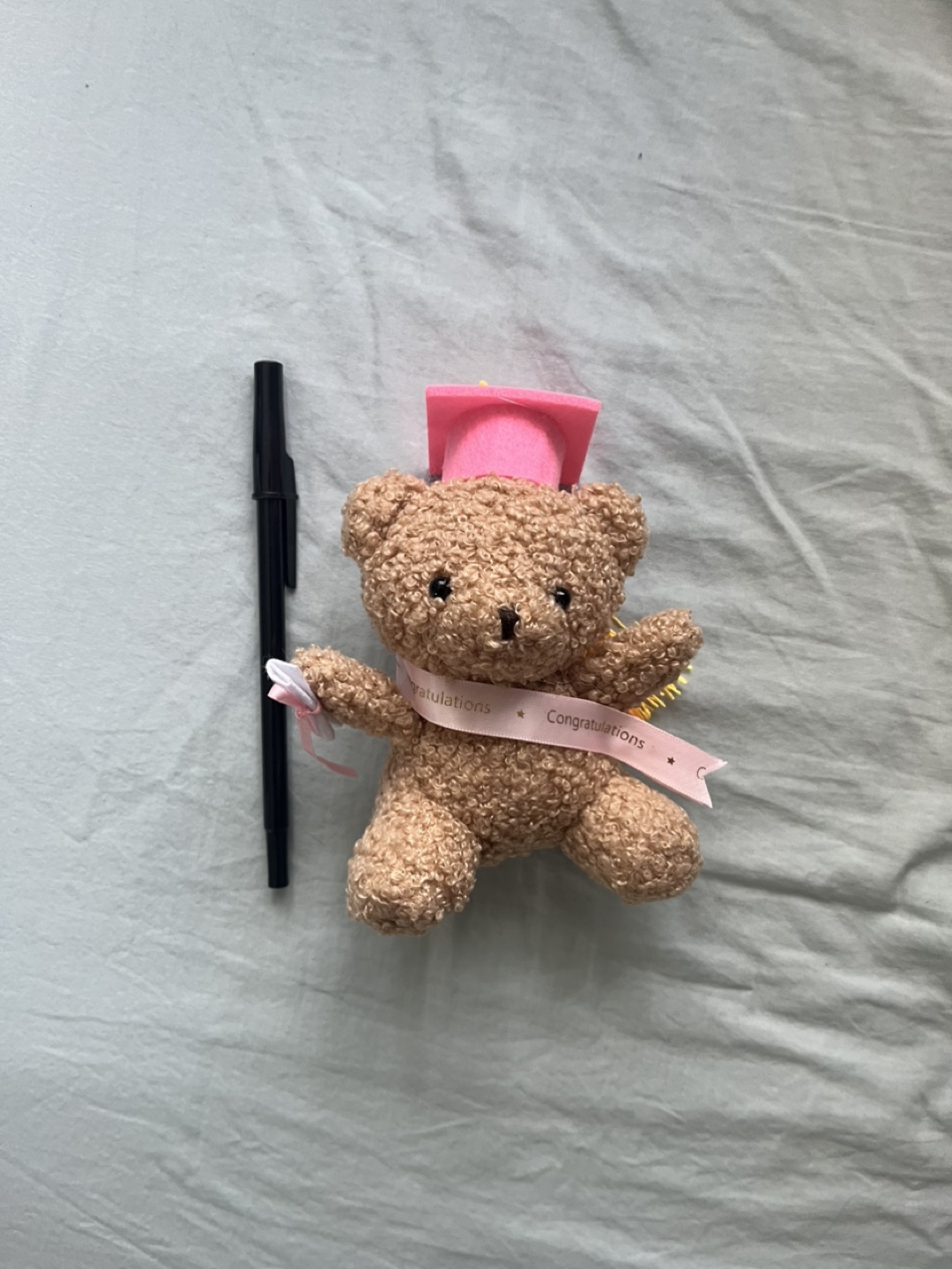 Graduation Teddy Bear with Pink Cap