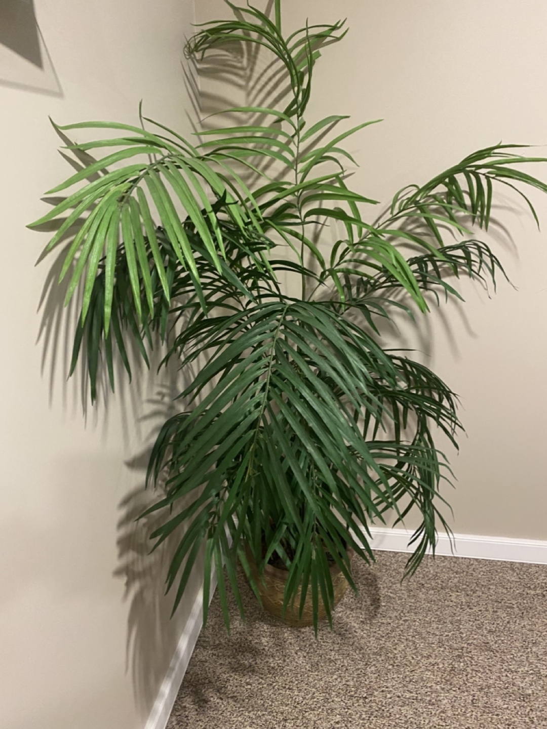 Potted Artificial Palm Tree - photo 3