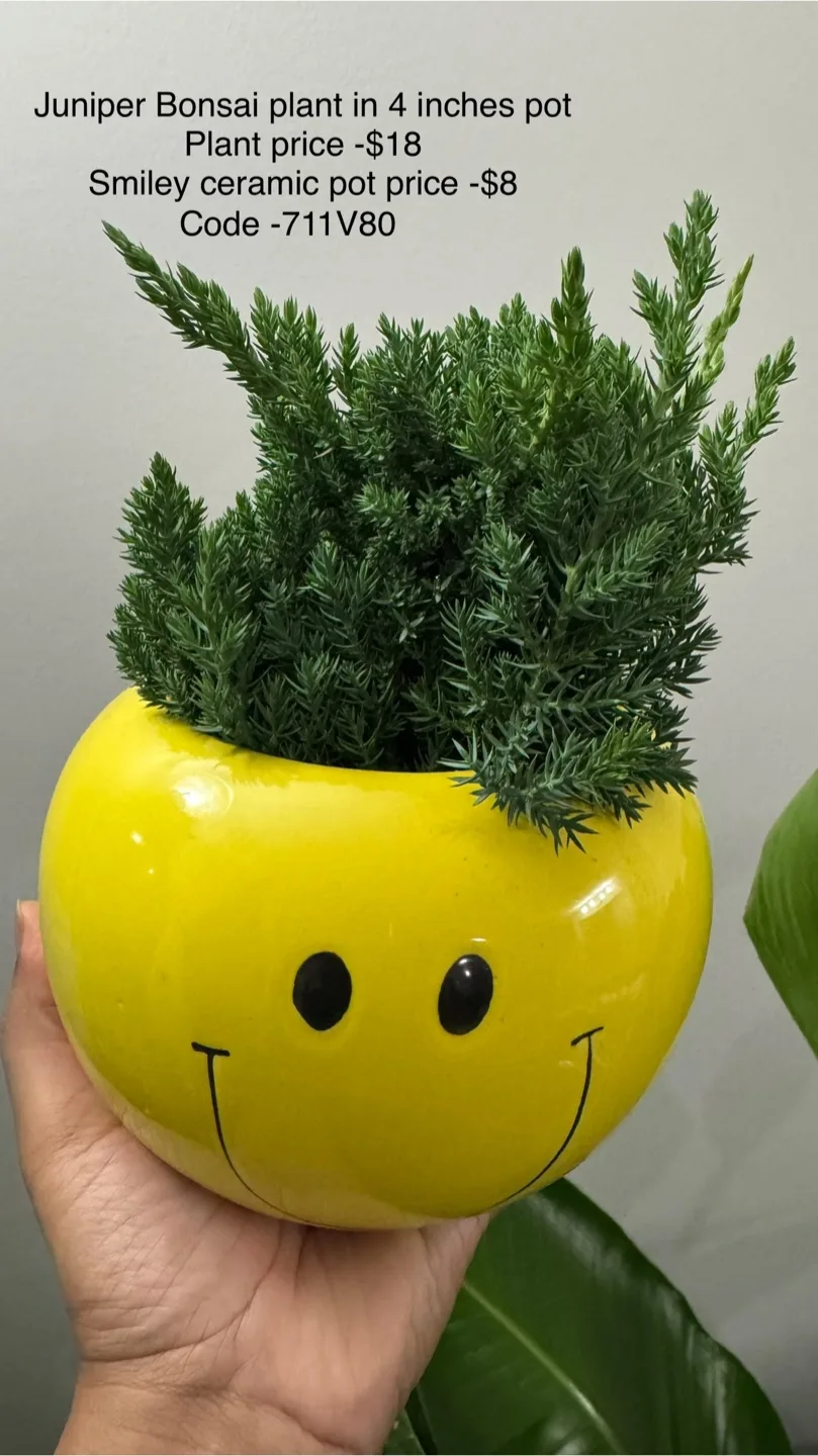 Indoor plants image indicator(10)