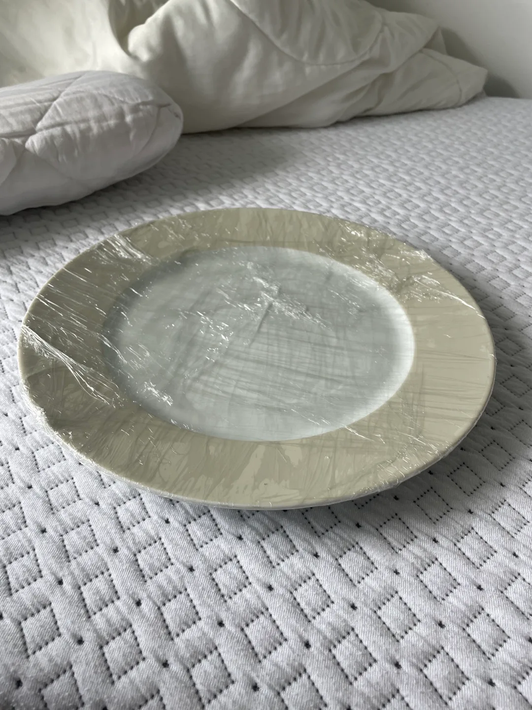 New Dinner Plate thumbnail
