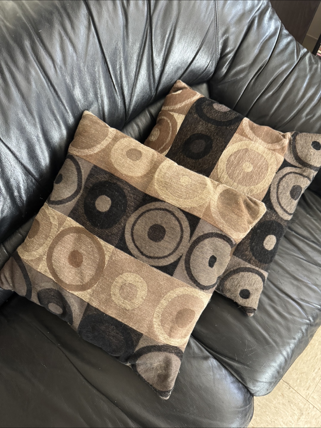 Decorative Throw Pillows - Set of 2