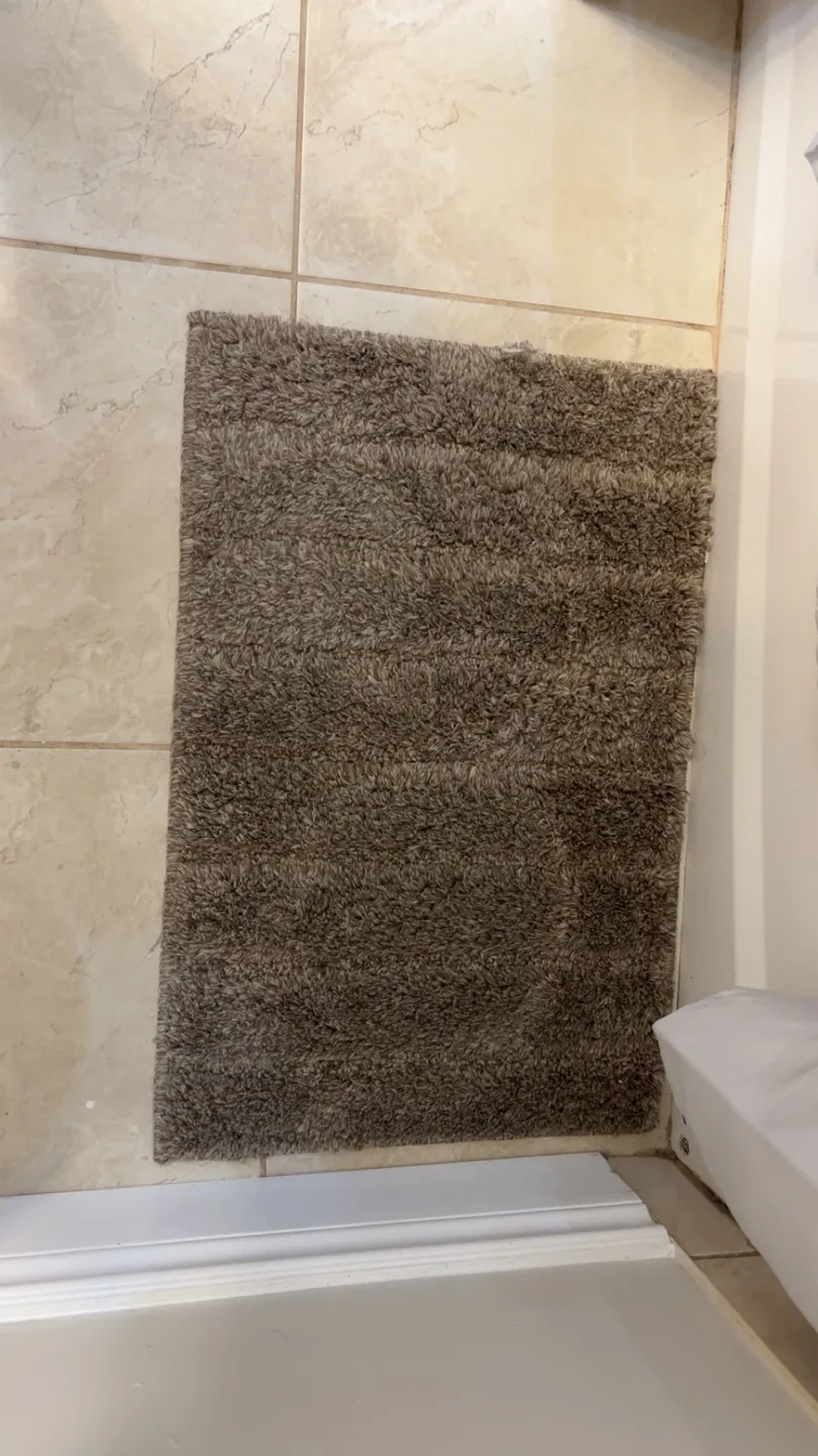 Brown Shag Rug thumbnail