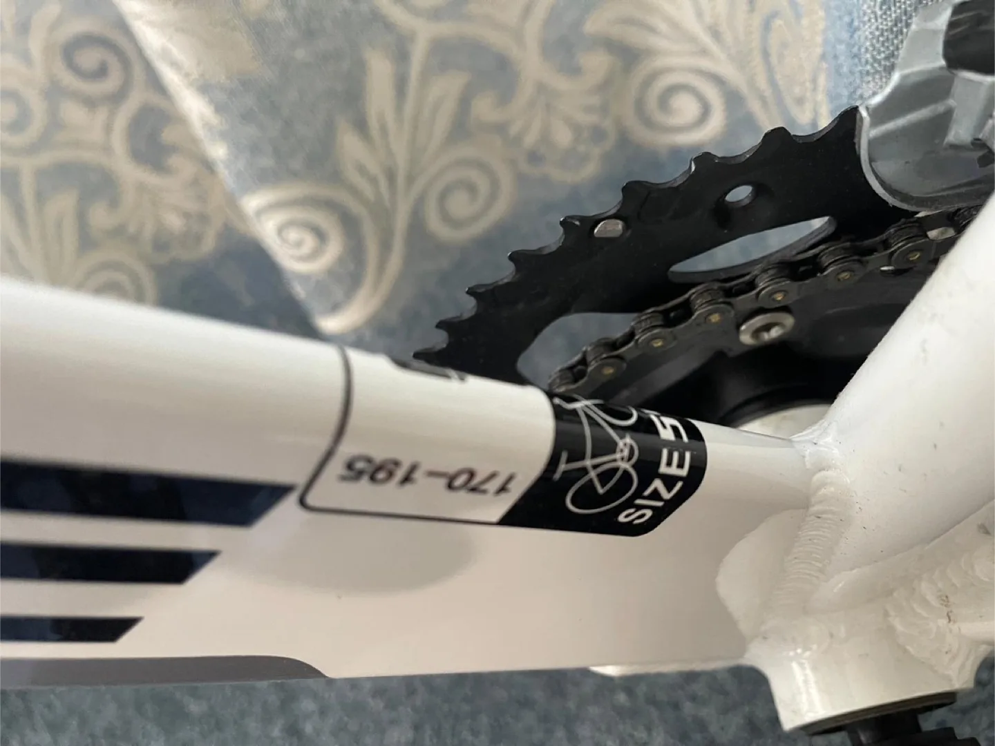 Eurobike XC7000 Road Bike (Size 170-195) image indicator(5)