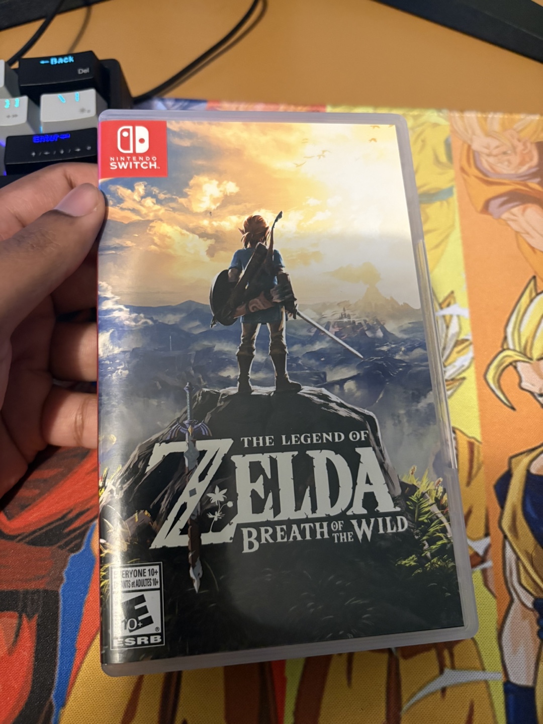 The Legend of Zelda Breath of the Wild