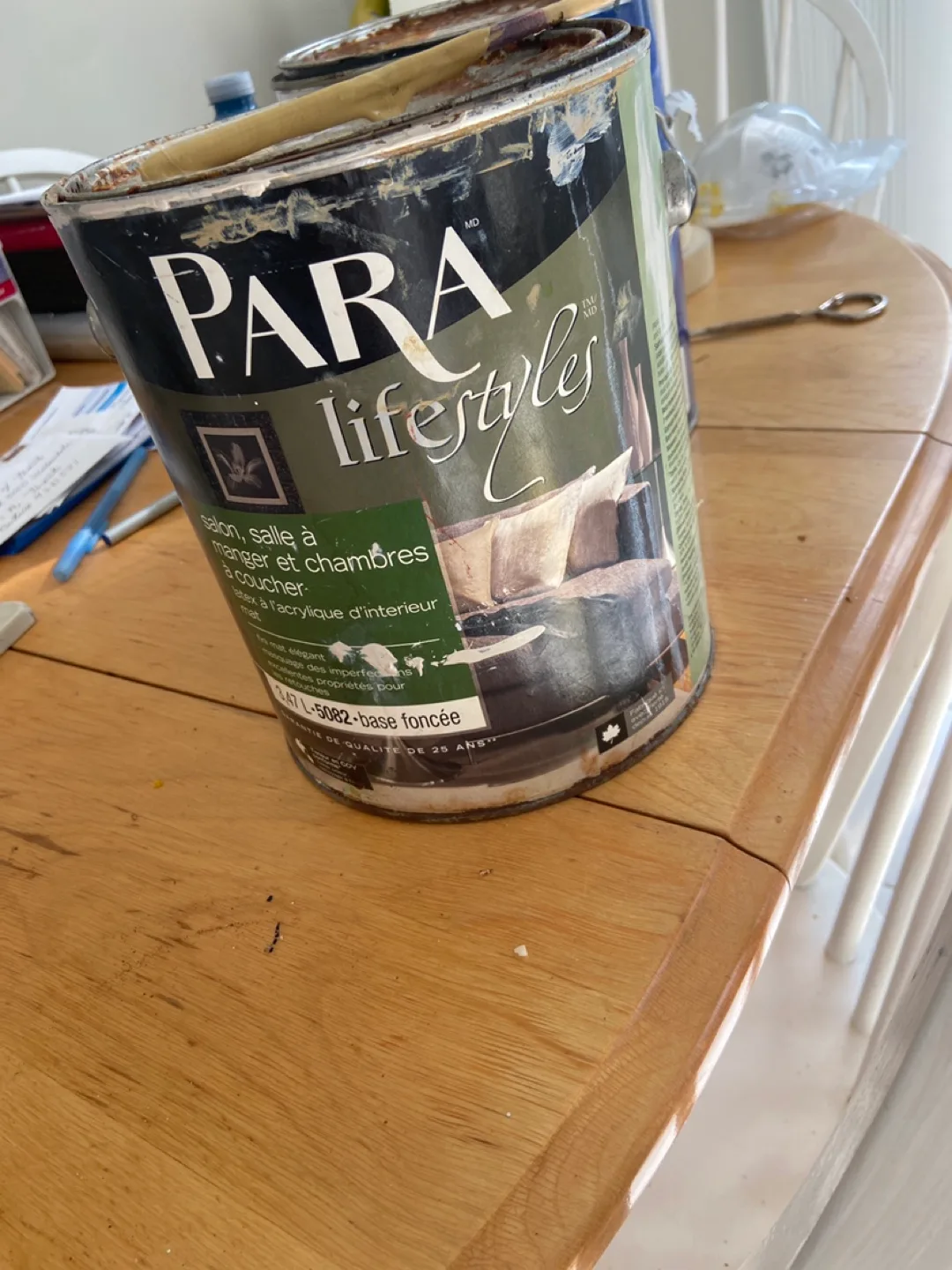 Para Lifestyles Paint thumbnail
