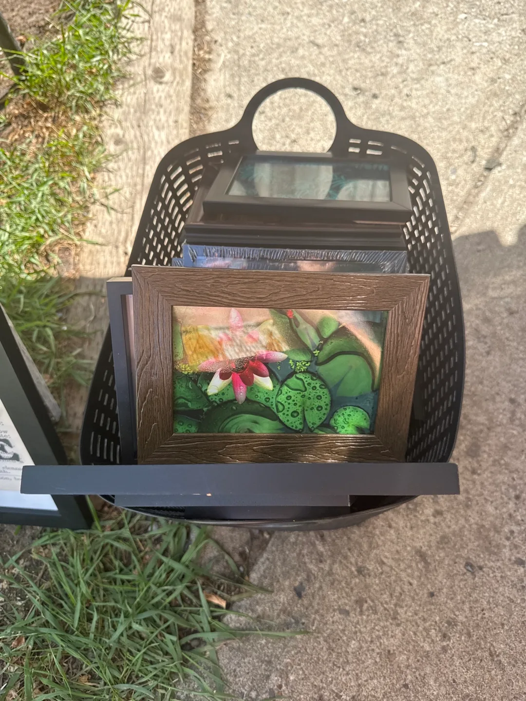 Assorted Picture Frames thumbnail