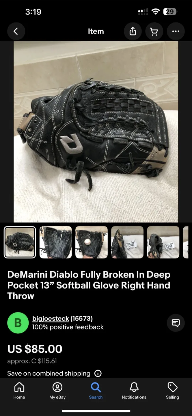 Diablo softball Glove 13” deep pocket- lightly used image indicator(7)