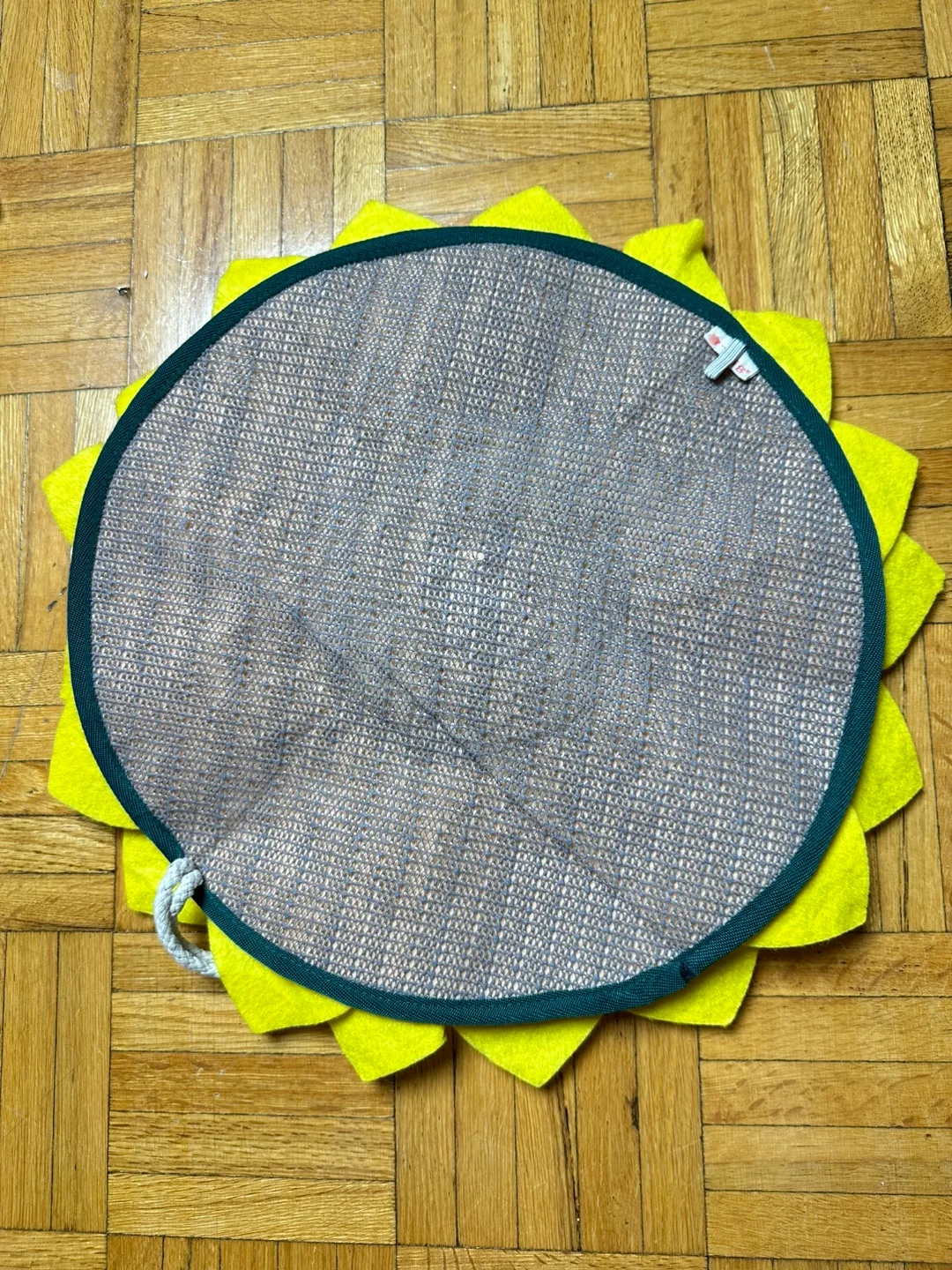 🇨🇦 Dog Snuffle Mat image indicator(5)