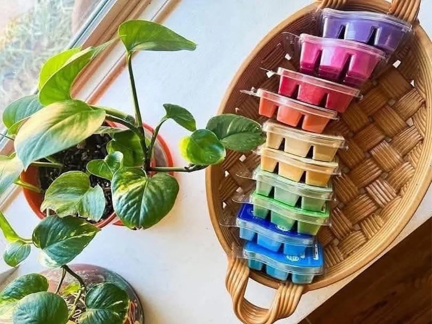 Scentsy 10 Bar Bundle Special. Birthday Edition. thumbnail