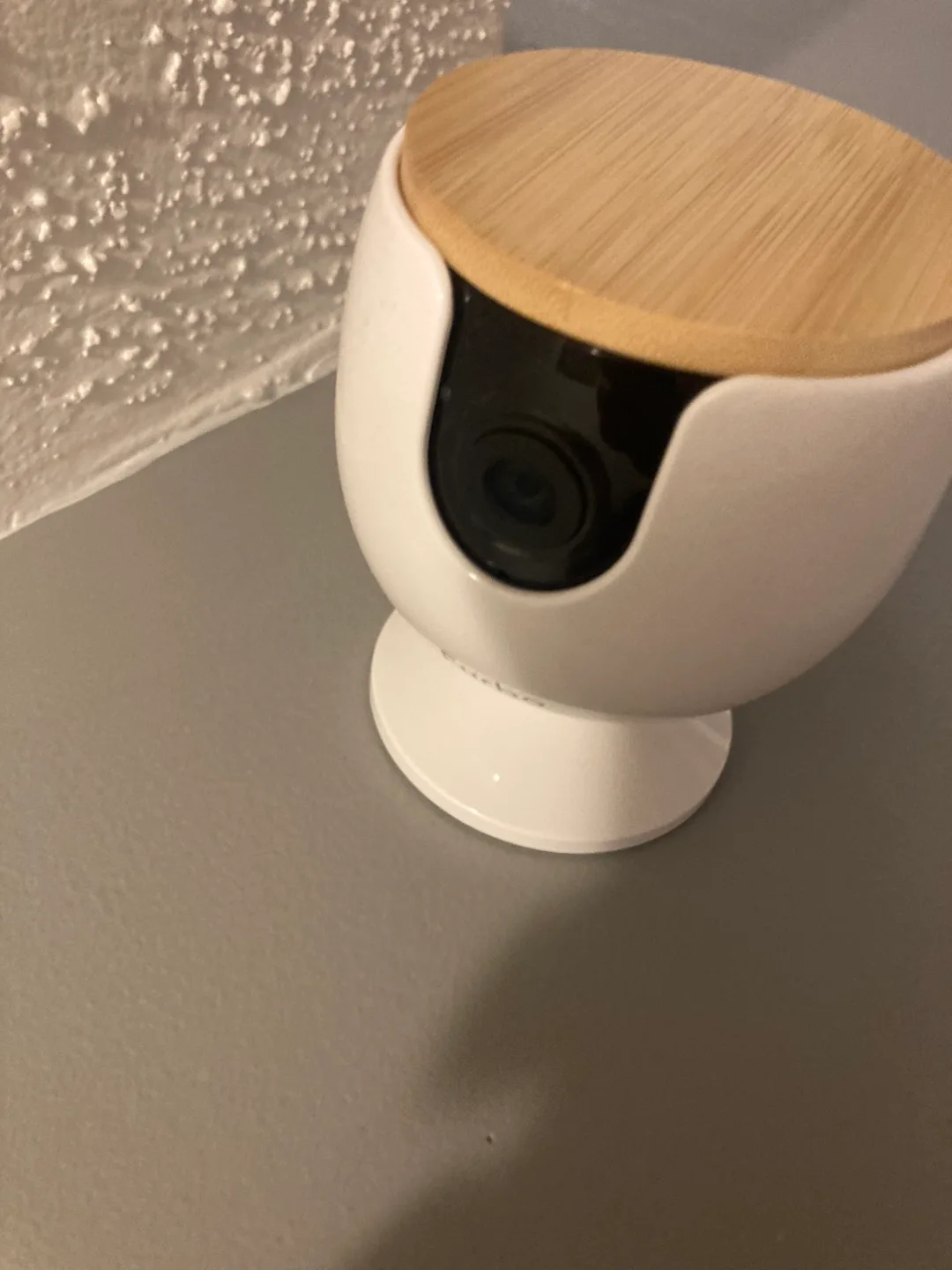 Furbo camera thumbnail