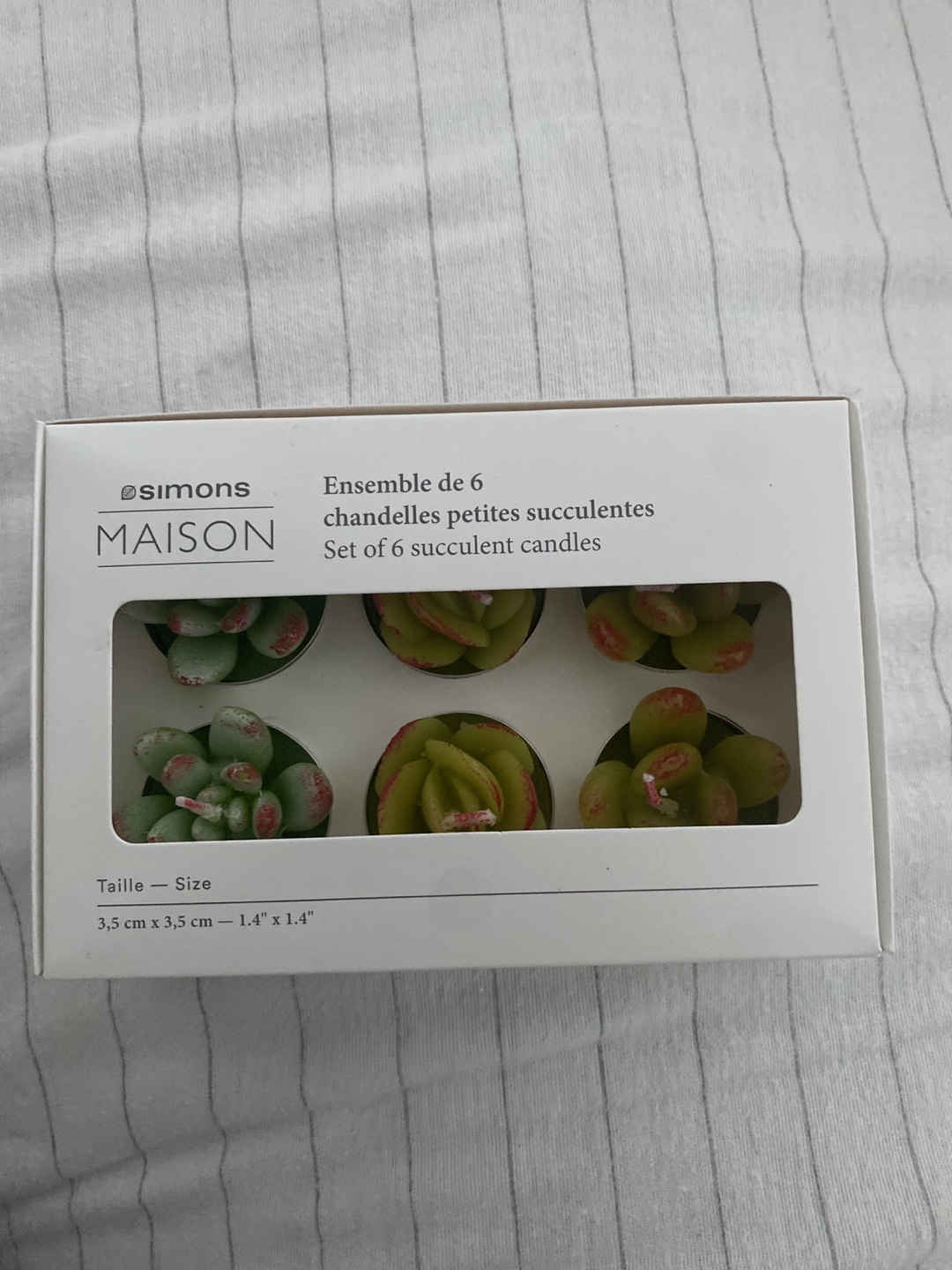Simons Maison Set of 6 Succulent Candles