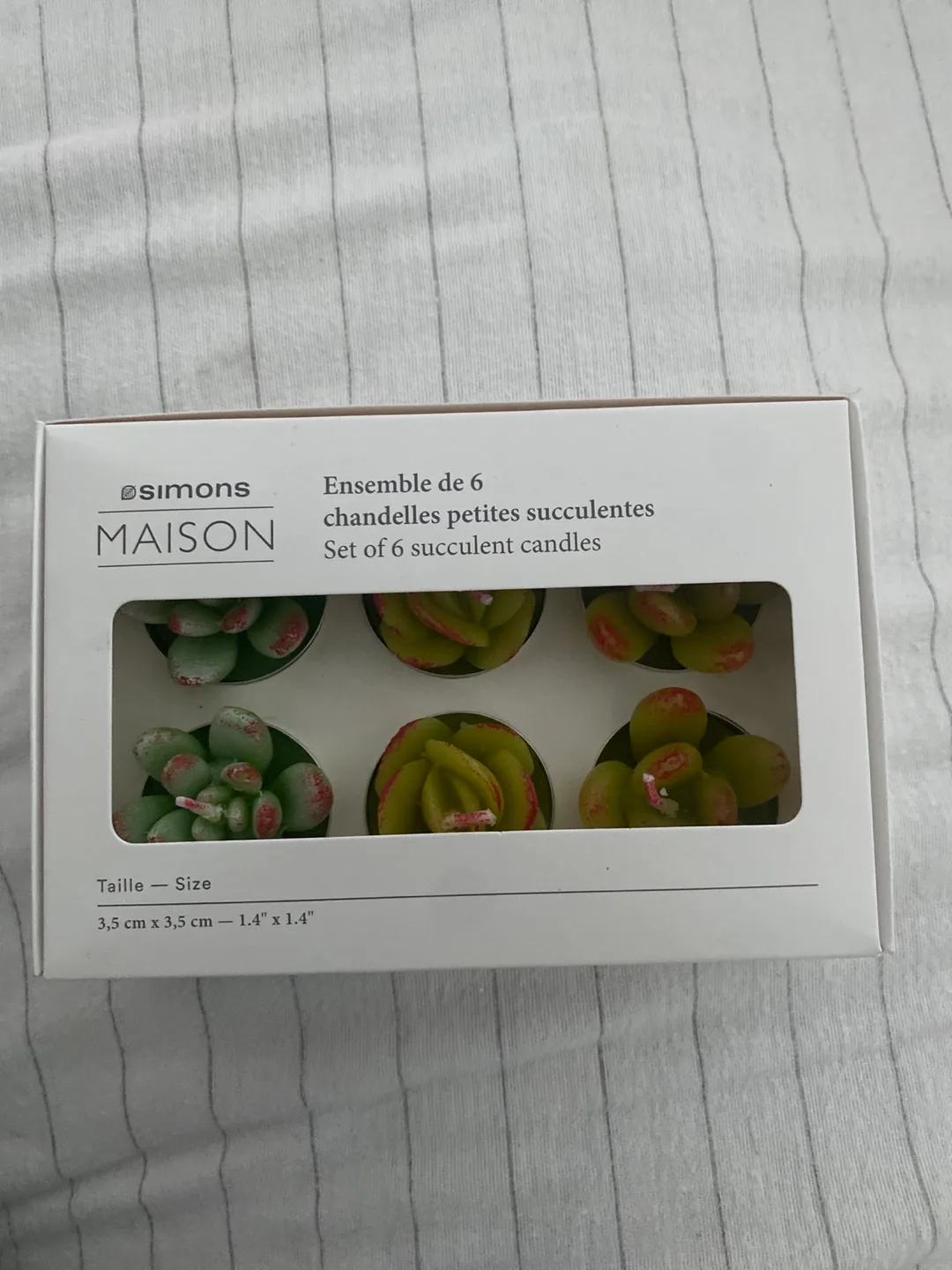 Simons Maison Set of 6 Succulent Candles thumbnail