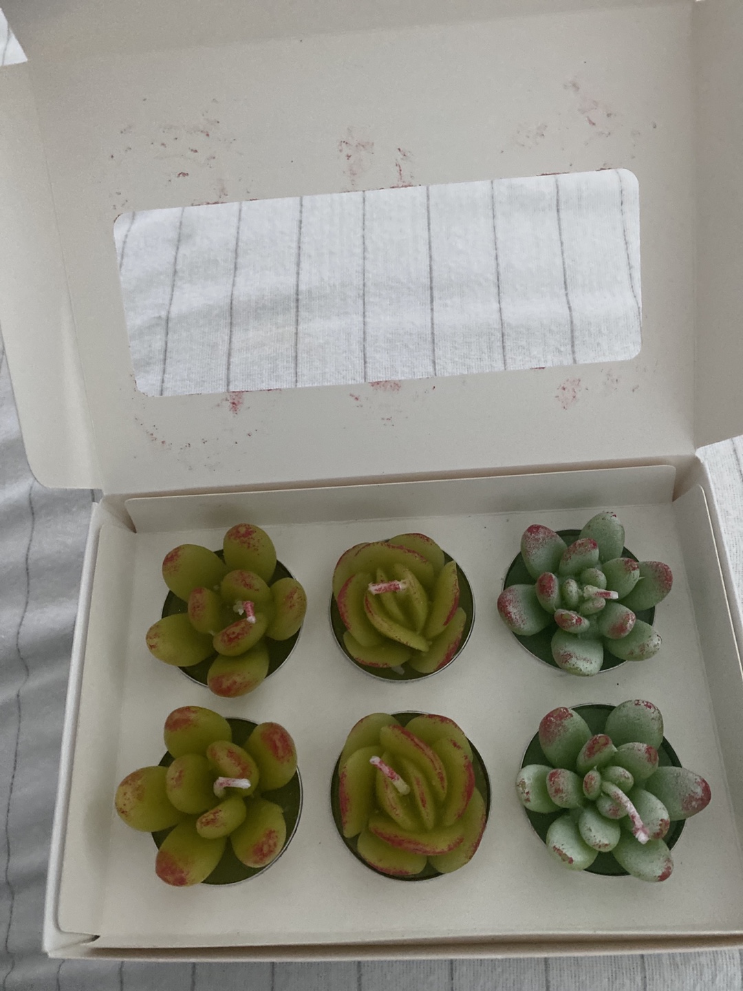 Simons Maison Set of 6 Succulent Candles - photo 2