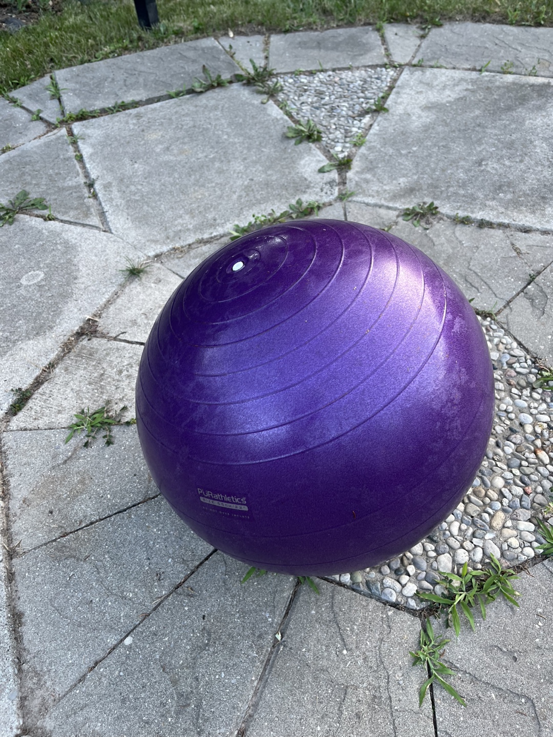 Purathletics Exercise Ball - 55cm / 22"