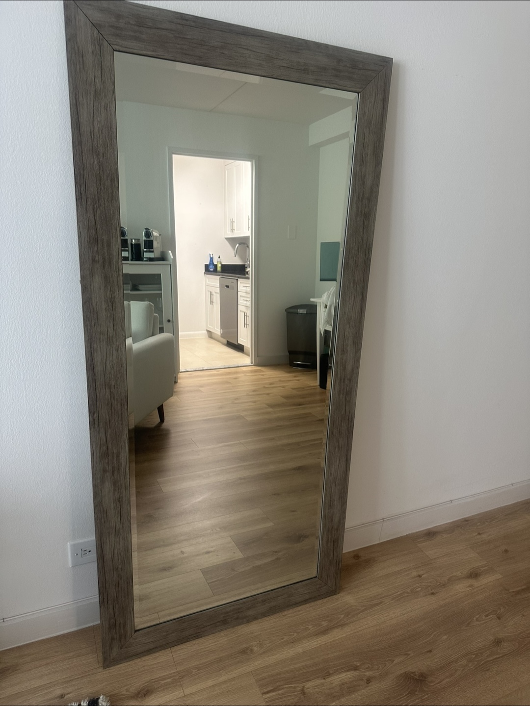 Full Length Gray Framed Mirror
