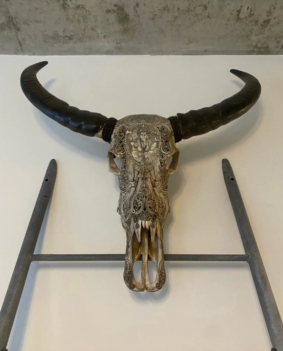 BEAUTIFUL CARVED BISON SKULL thumbnail