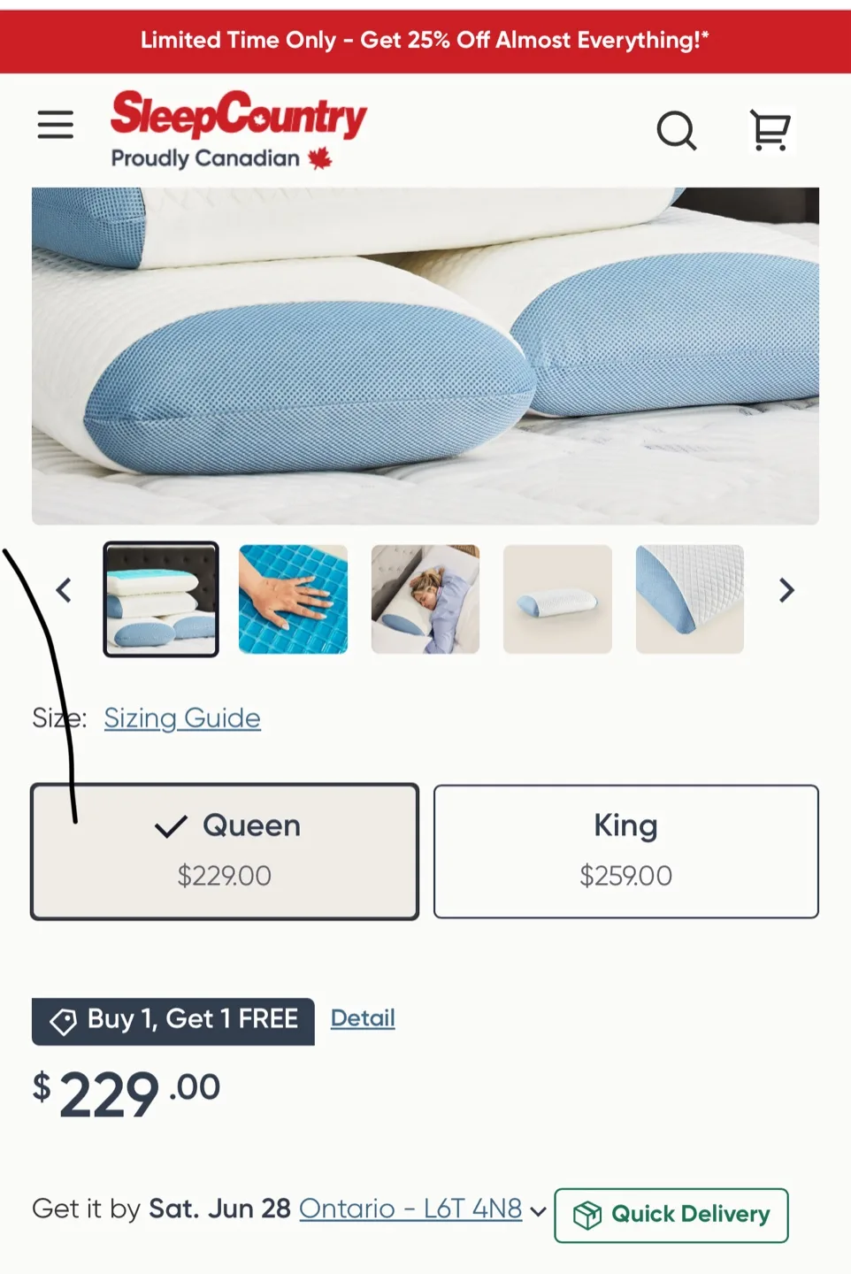 Sleep Country Queen Pillow thumbnail