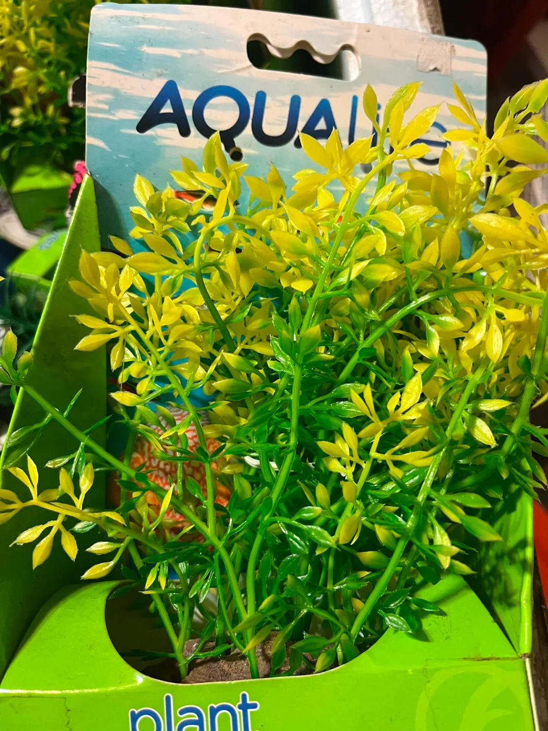 Aqua Culture Aquarium Plant thumbnail