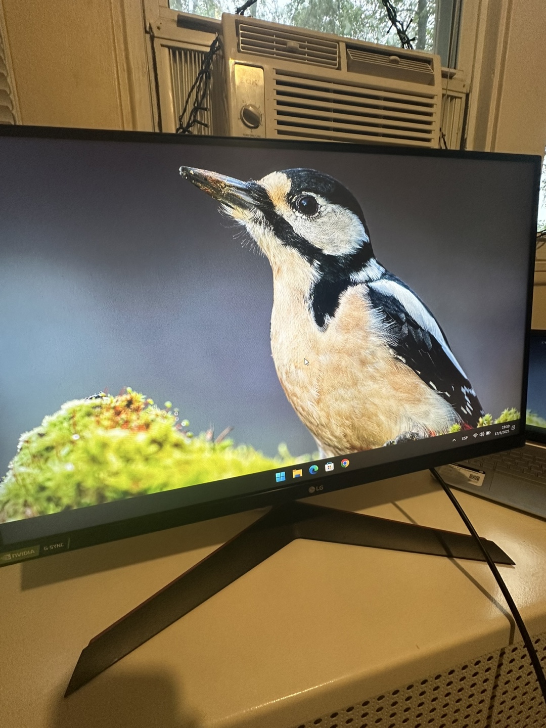 LG 27" 240hz UltraGear QHD Gaming Monitor - photo 4