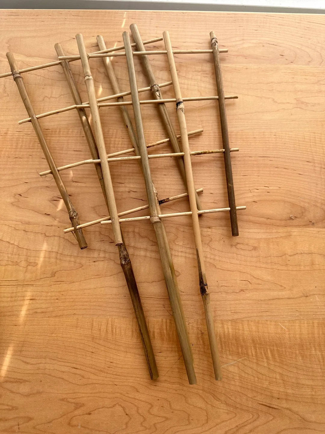 Bamboo Plant Trellis - Set of 2 thumbnail