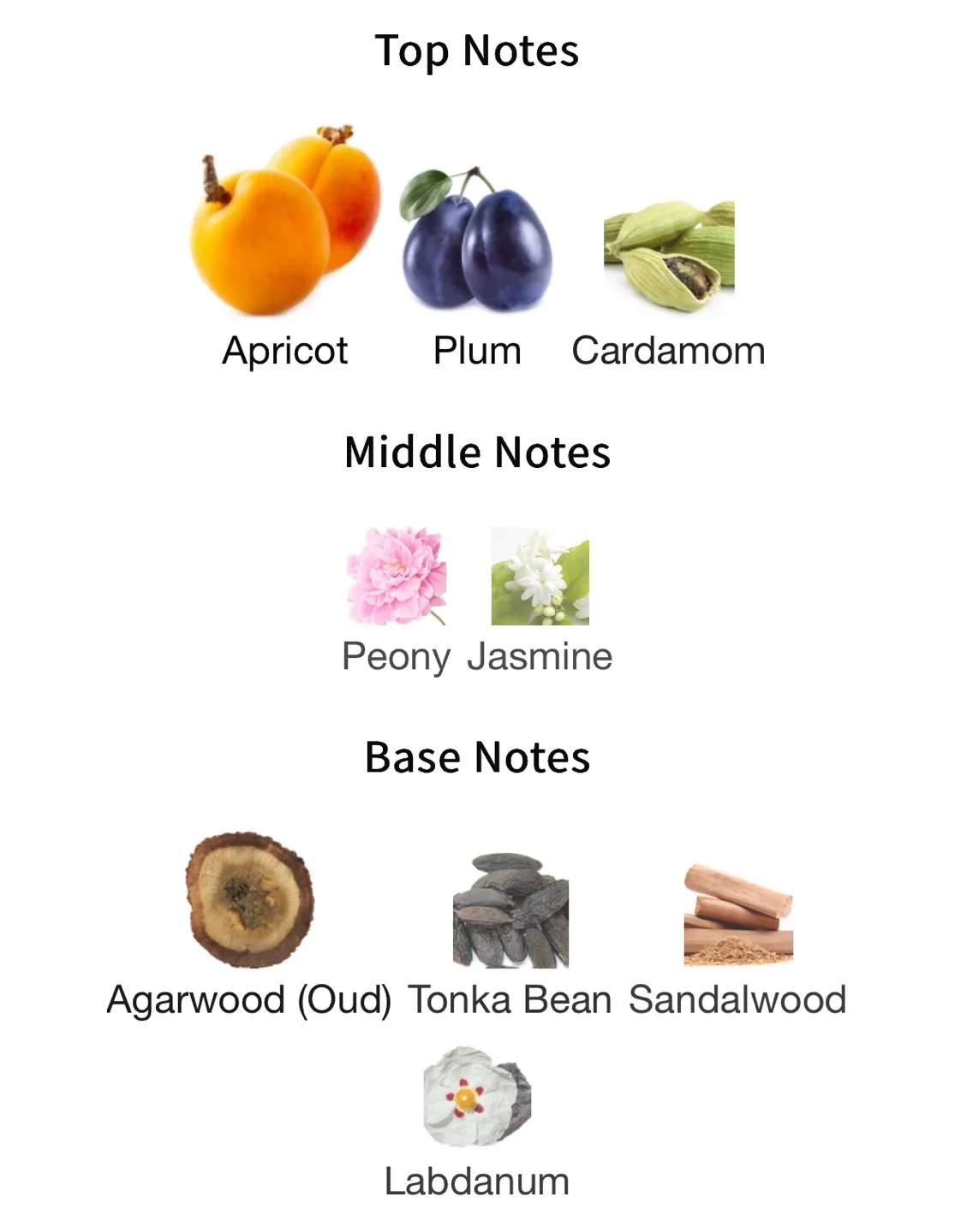 Phlur Apricot Privée Travel Spray - 9.5ml image indicator(3)