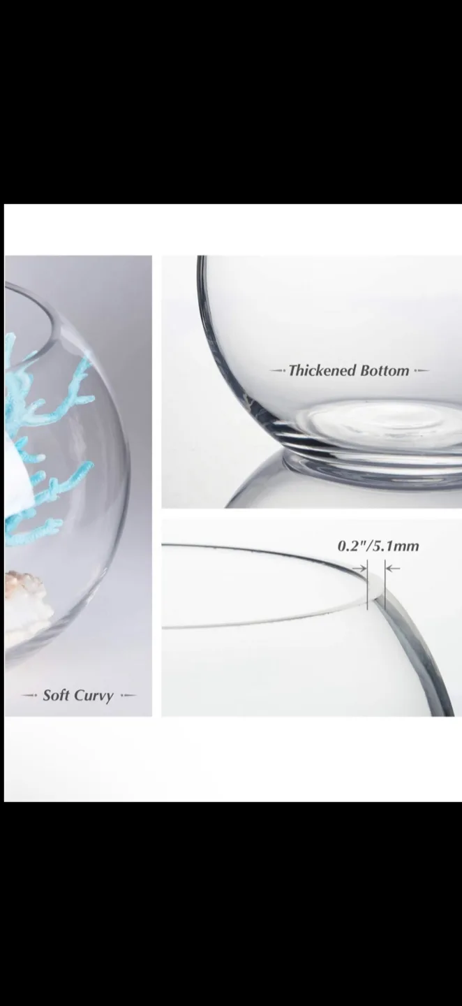 Small Round Glass Fish Bowl Vase, brand new image indicator(3)