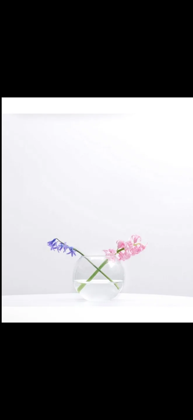 Small Round Glass Fish Bowl Vase, brand new image indicator(4)