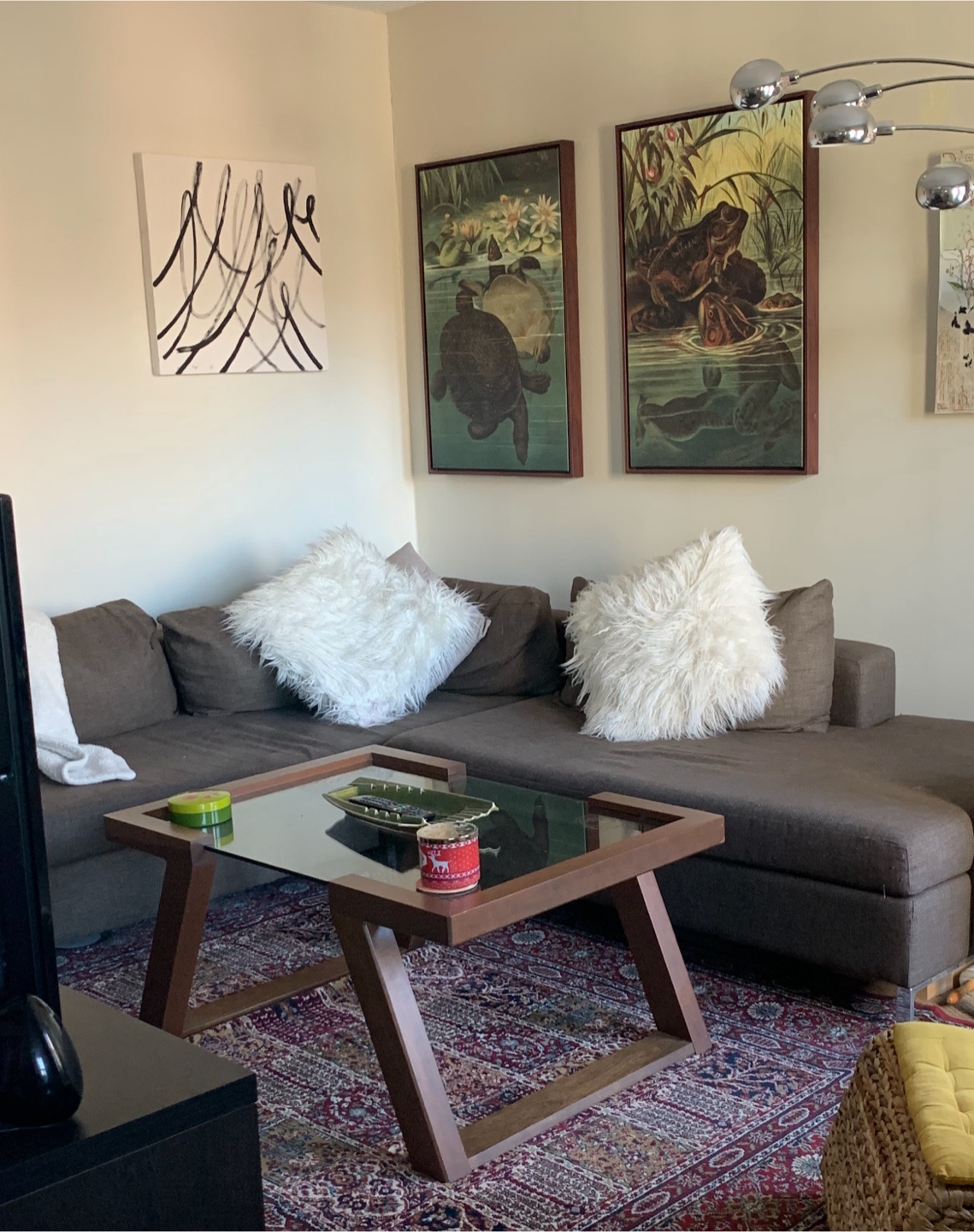 Framed Vintage-Style Frog & Turtle Prints