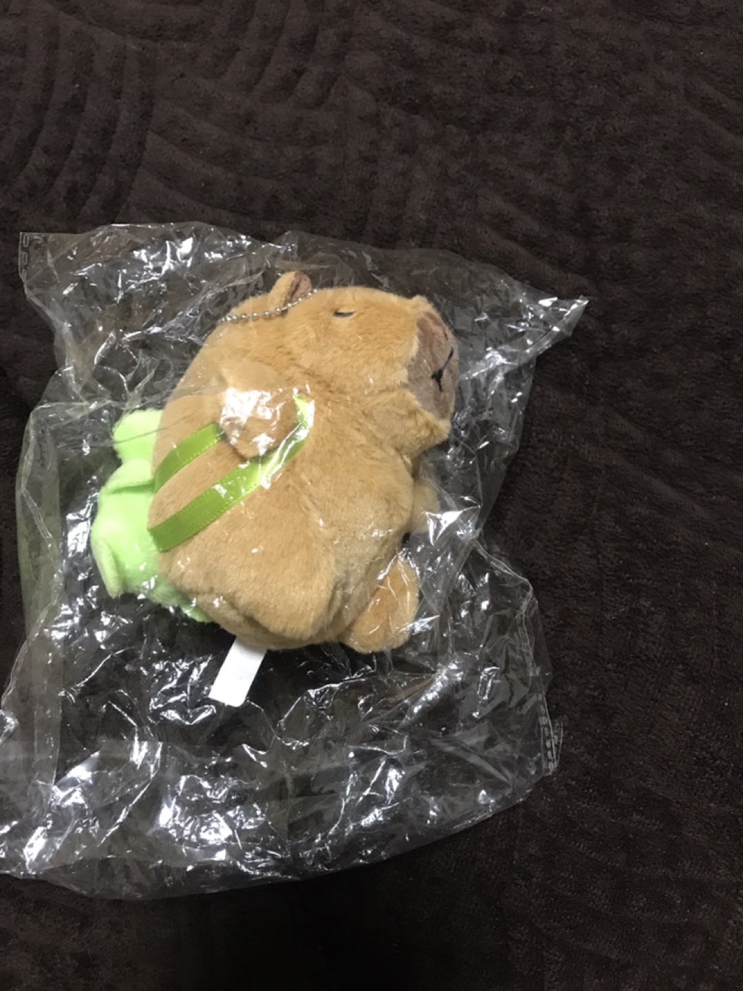 Capybara Turtle Plush Keychain - New!