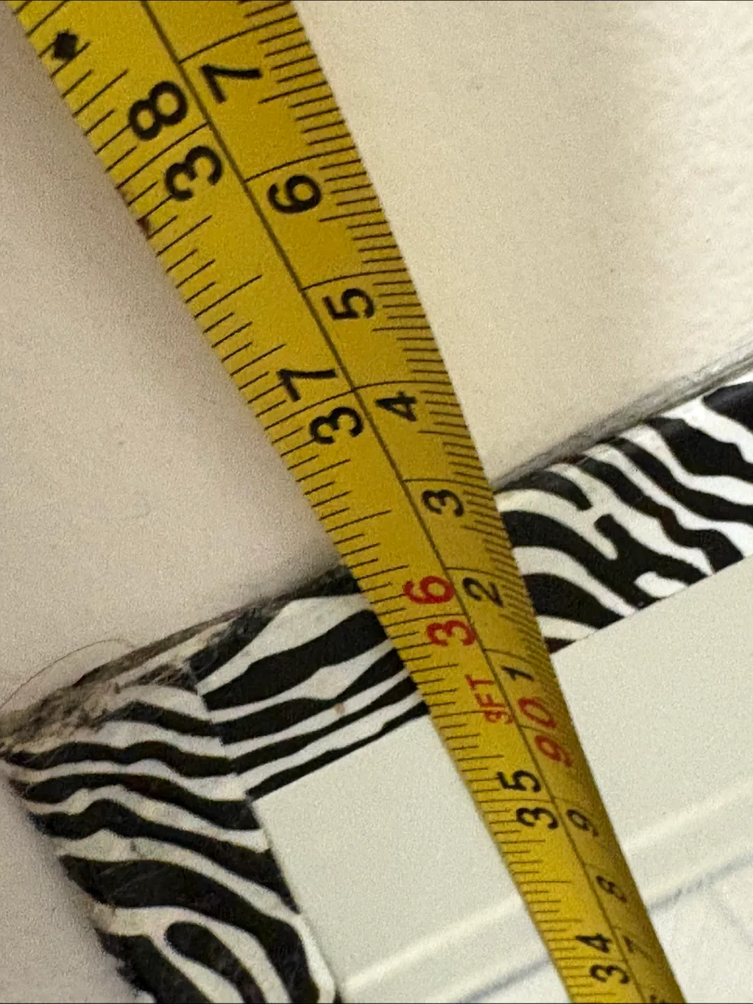 🇨🇦Zebra Print Framed Mirror image indicator(3)