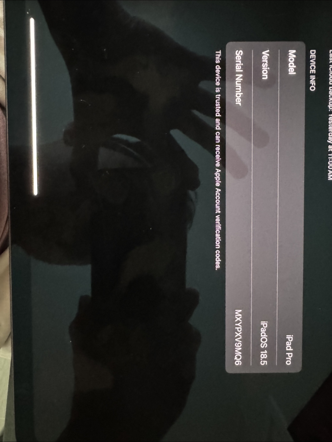 Apple iPad Pro 13 inch - photo 4