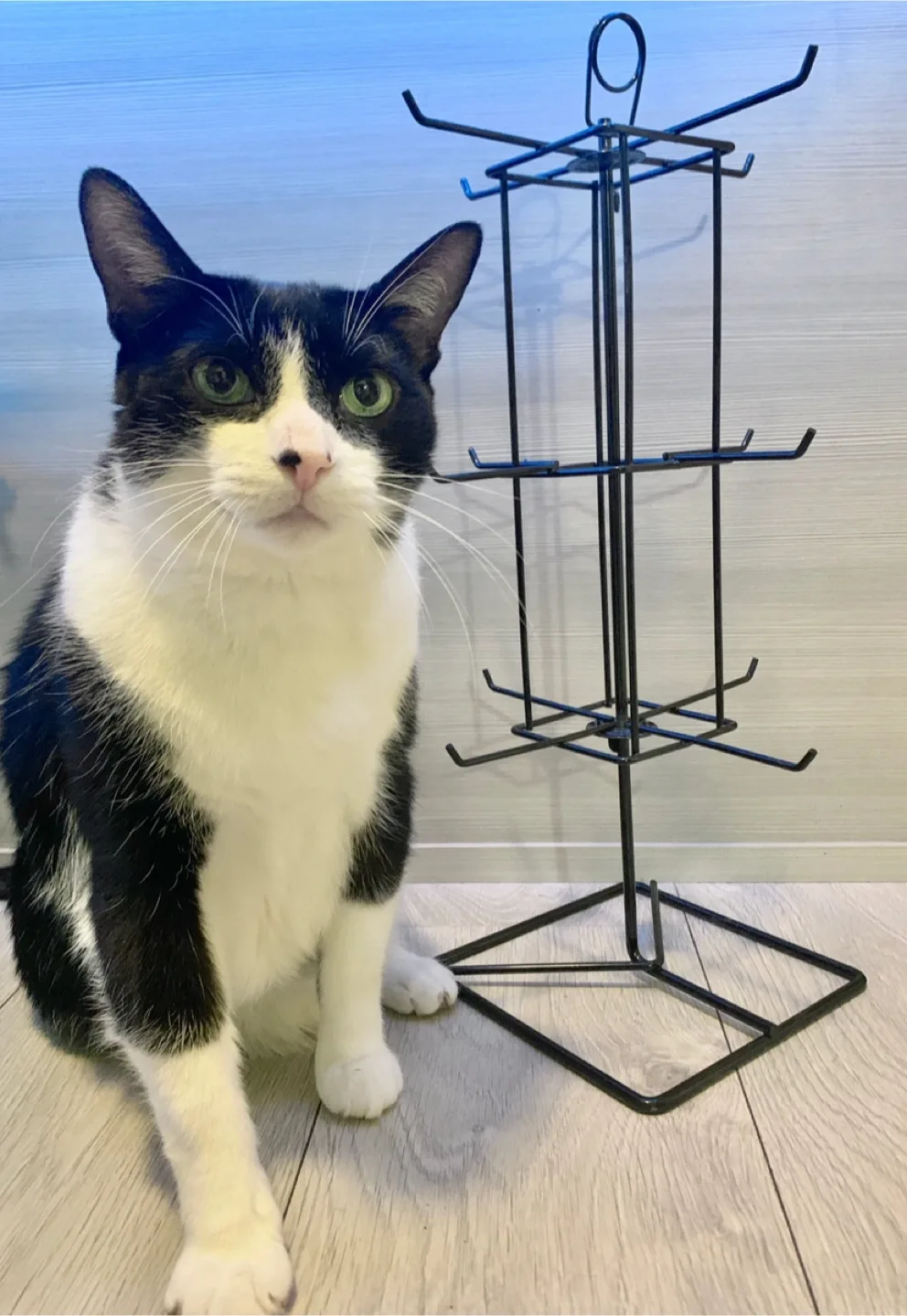 ‼️MOVING SALE‼️🆕 balloon/ jewelry rotational display rack! 👏 image indicator(4)