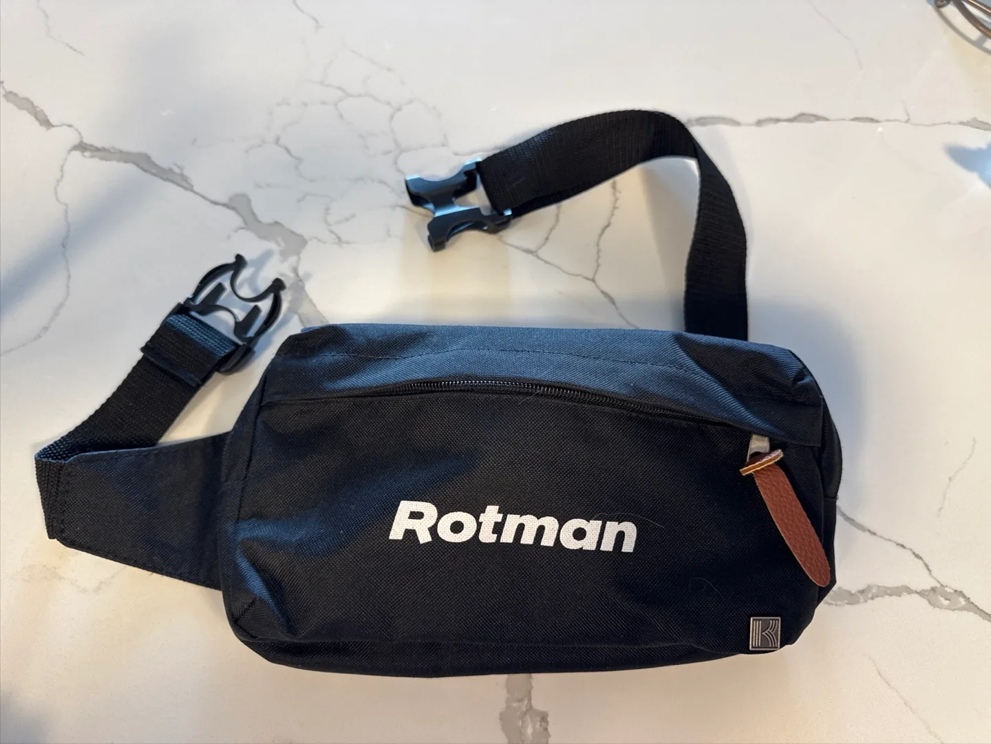 Free- Black Belt Bag 🇨🇦 thumbnail