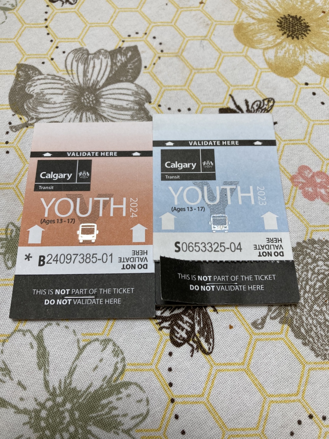 Calgary Transit Youth Ticket (Ages 13-17)