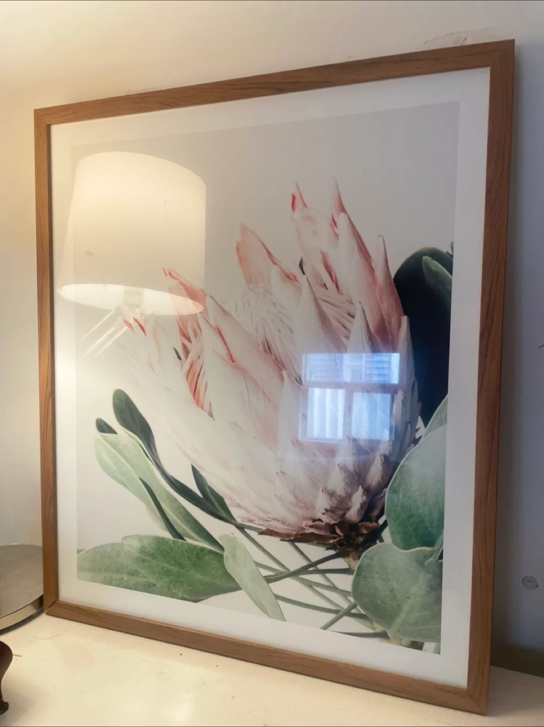 Large Framed Botanical Print 23x27” thumbnail