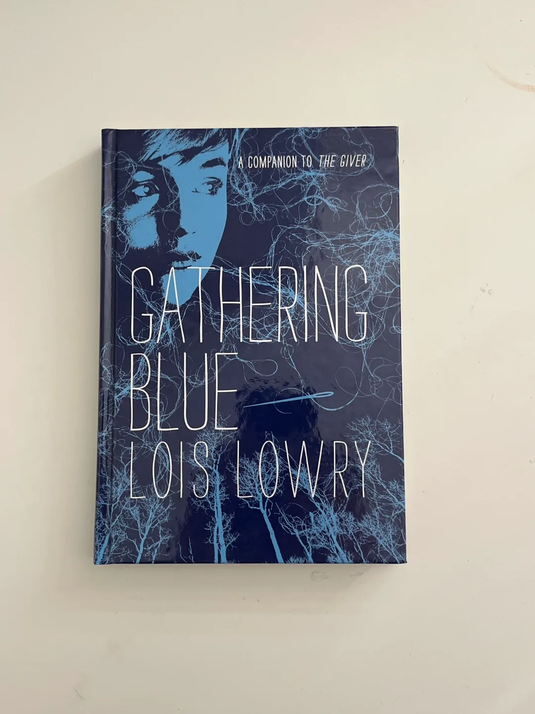 Gathering Blue by Lois Lowry thumbnail