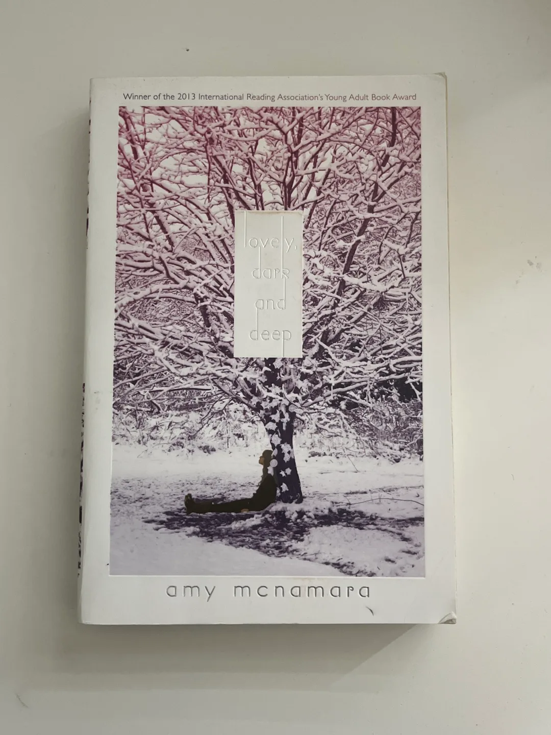 Lovely, Dark, and Deep by Amy McNamara thumbnail