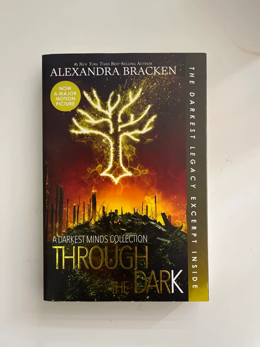 Through the Dark by Alexandra Bracken thumbnail