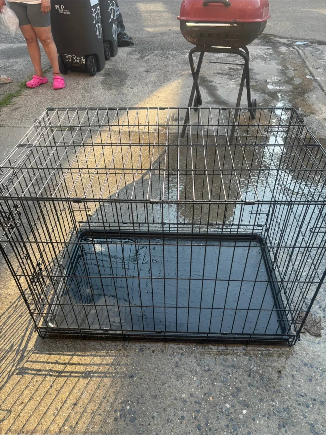 Dog Crate thumbnail
