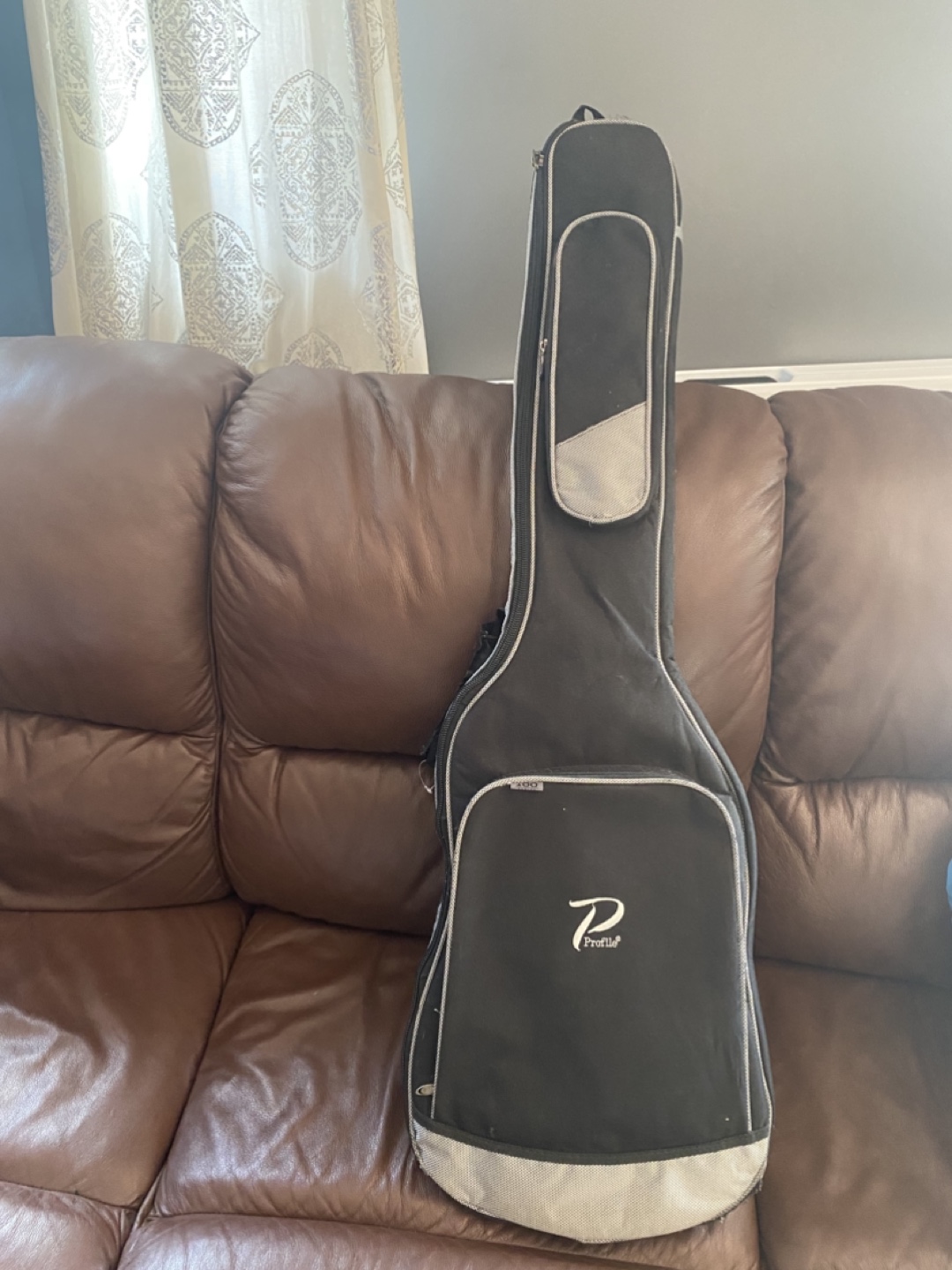Robson Electric Guitar with Profile Case - photo 3