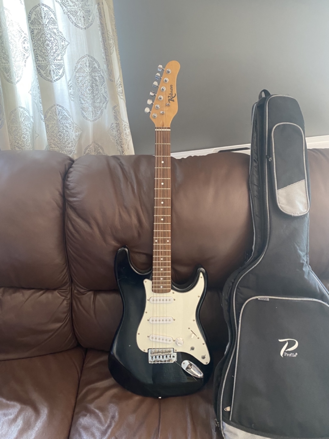 Robson Electric Guitar with Profile Case - photo 4