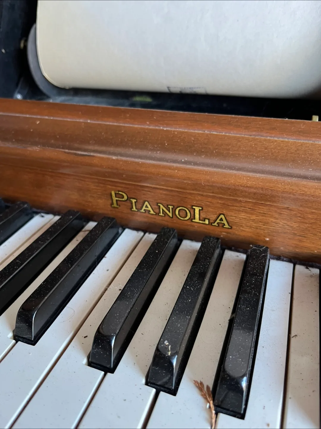 Pianola Player Piano image indicator(2)