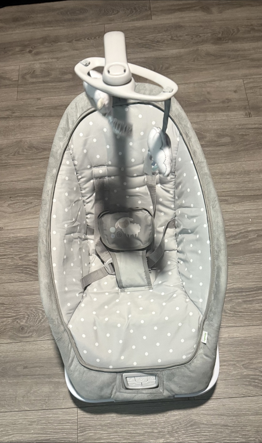 Ingenuity Baby Bouncer - Excellent Condition!