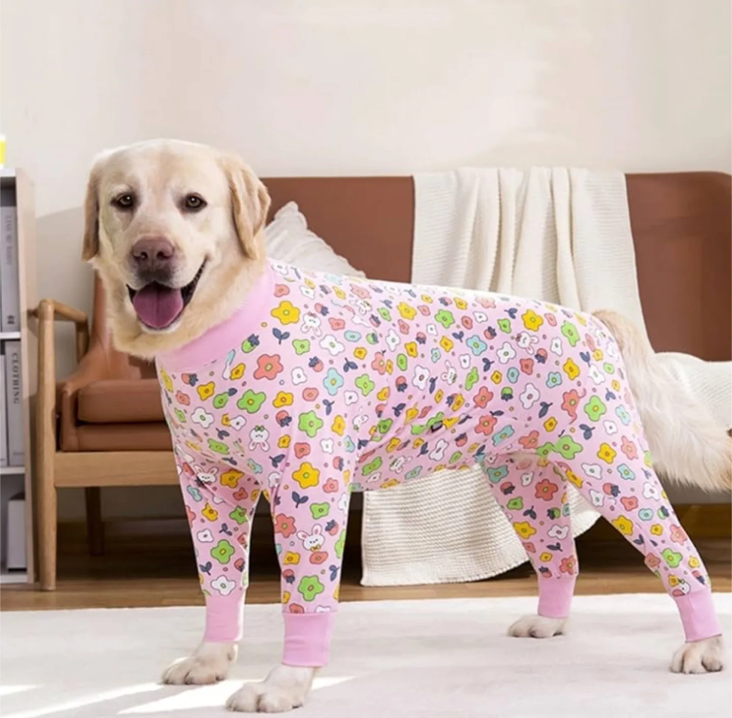 Dog Pj’s - cone alternative thumbnail