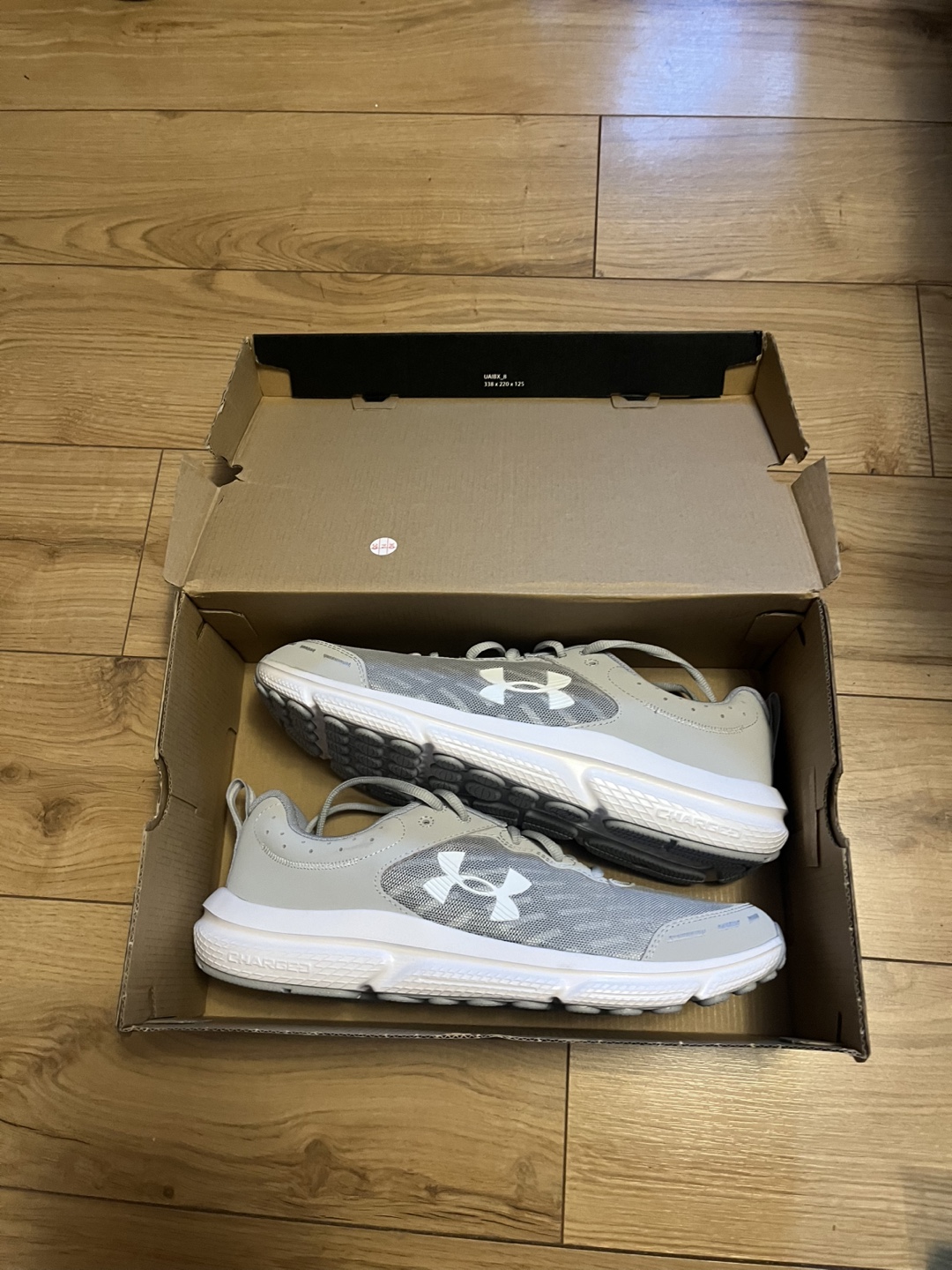 Under Armour Charged Assert 9 Grey