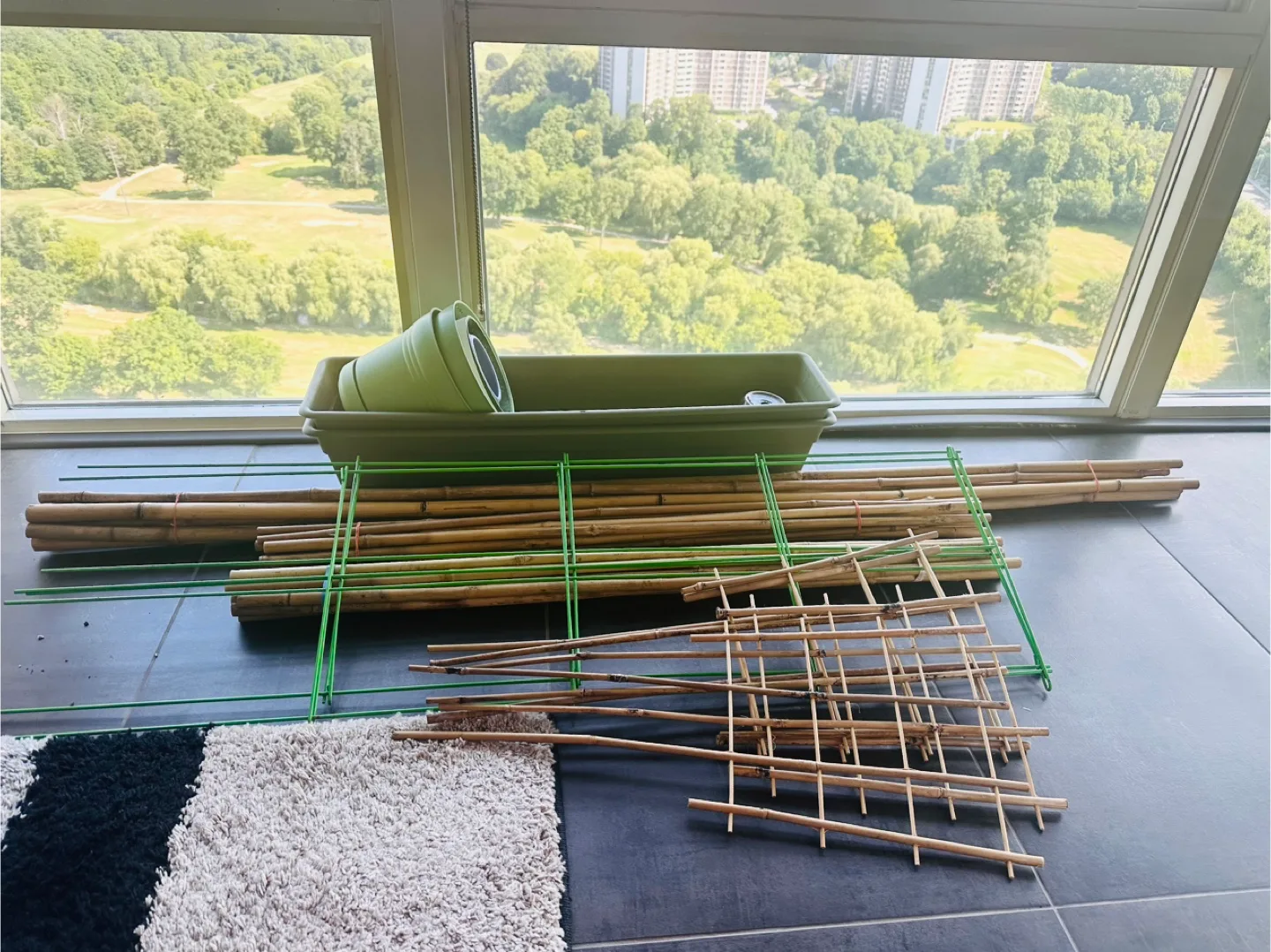 Gardening Planter & Bamboo Stakes thumbnail